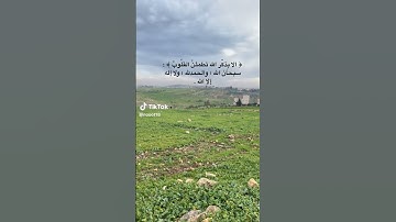 #تلاوة_مميزة #قرآن_كريم #القرآن_الكريم #تلاوات_خاشعة #راحة_نفسية #يارب #quran #الباقيات_الصالحات
