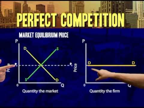Reading Price And Revenue In A Perfectly Competitive