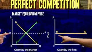 Perfect competiton:  Demand curve for individual producer