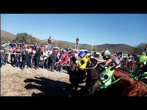 Carrera de Caballos Carril el Cerrito | Matehuala SLP | 6 De Enero 2022