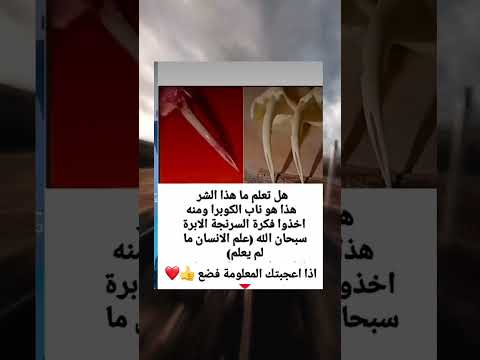 معلومات لم تسمع عنها من قبل       