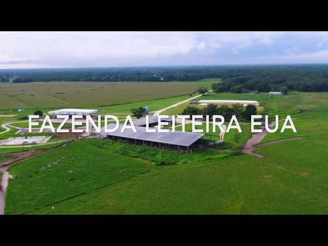 Castelo em fazenda de 40 acres com estábulo e pasto para gado está à venda  por mais de R$ 14 milhões nos EUA, Imóveis