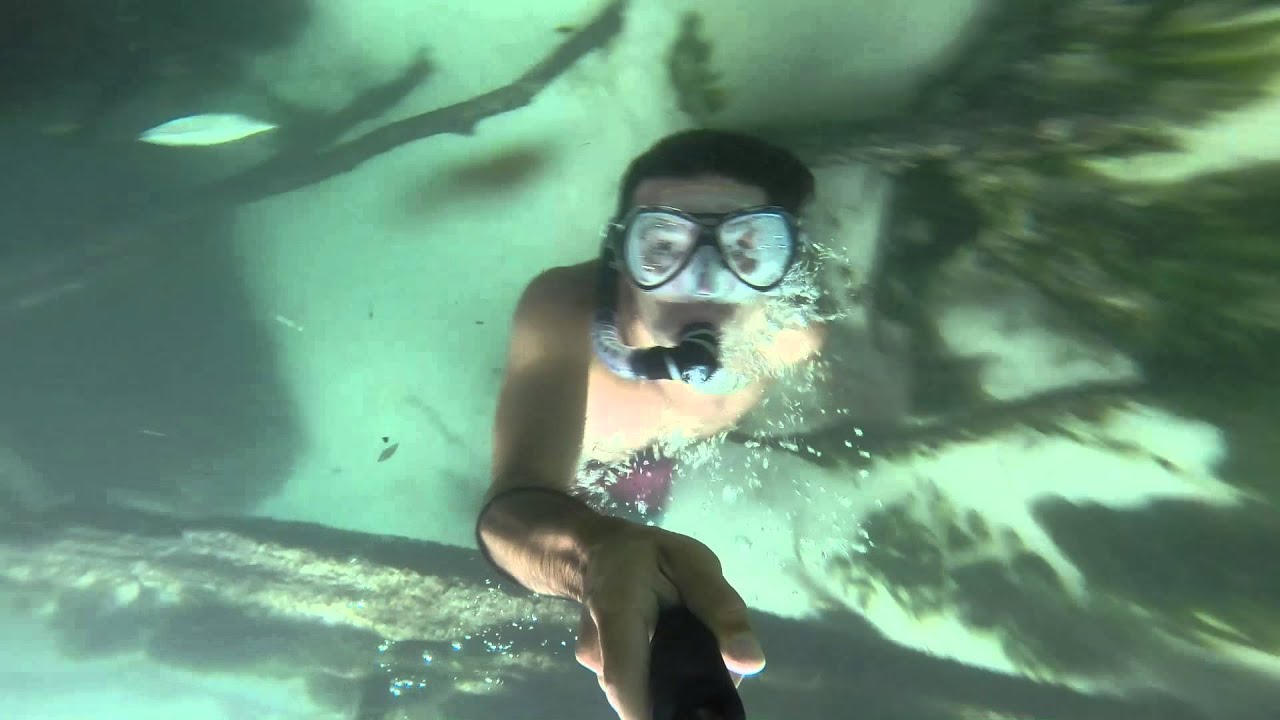 Weeki Wachee River YouTube