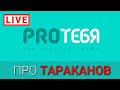 Все проблемы - в голове. Поговорим про наши убеждения.