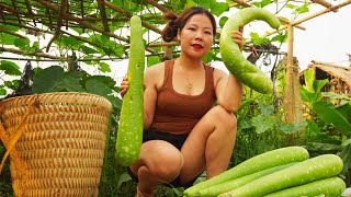 Single Mom Life: Harvesting Gourd Garden Goes to the market sell