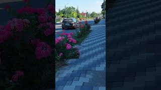 Localitate 23 August Romania 16 06 2026 Constanta