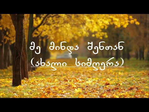 მე მინდა შენთან - ( Officiall Audio ) Iago Kupreishvili