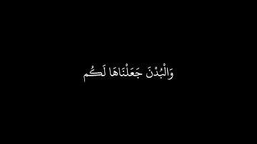والبدن جعلناها لكم من شعائر الله (سورة الحج) ياسر الدوسري شاشة سوداء تلاوة قديمة