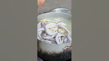 cách luộc lòng non trắng giòn tan làm hư chiếc đũa #shorts