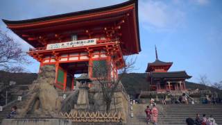 Kiyomizu-dera Temple in Kyoto | Japan | 清水寺