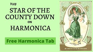 Video thumbnail of "Star of the County Down - Irish Folk Song on Harmonica - Folk Jazz"