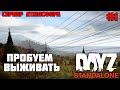 Сервер Атмосфера PVE Dayz Standalone Стрим 1