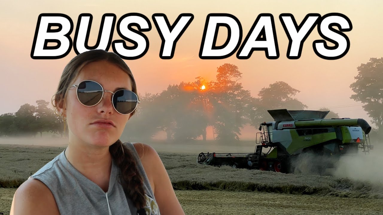 another busy day of wheat harvest!! | 2021 Wheat Harvest Day 7 - YouTube