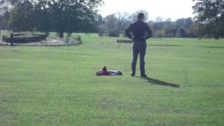 Irish Temper Tantrum