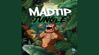 Download Lagu Jungle MP3