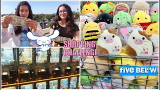 $40 SHOPPING CHALLENGE at the MALL + Five Below Squishmallow event!