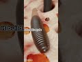 These Mites Live On Your Face Right now
