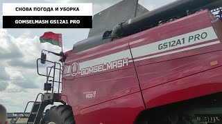 Снова погода - с обеда убираем озимую рожь комбайном GOMSELMASH GS12A1 PRO