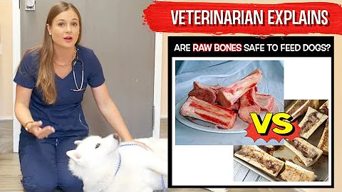 Is it Safe to feed Raw Bones to your Dog?! | LEARN NOW!!