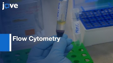Flow Cytometry-Based Cytotoxicity Assay to Assess NK Cell Activity | Protocol Preview