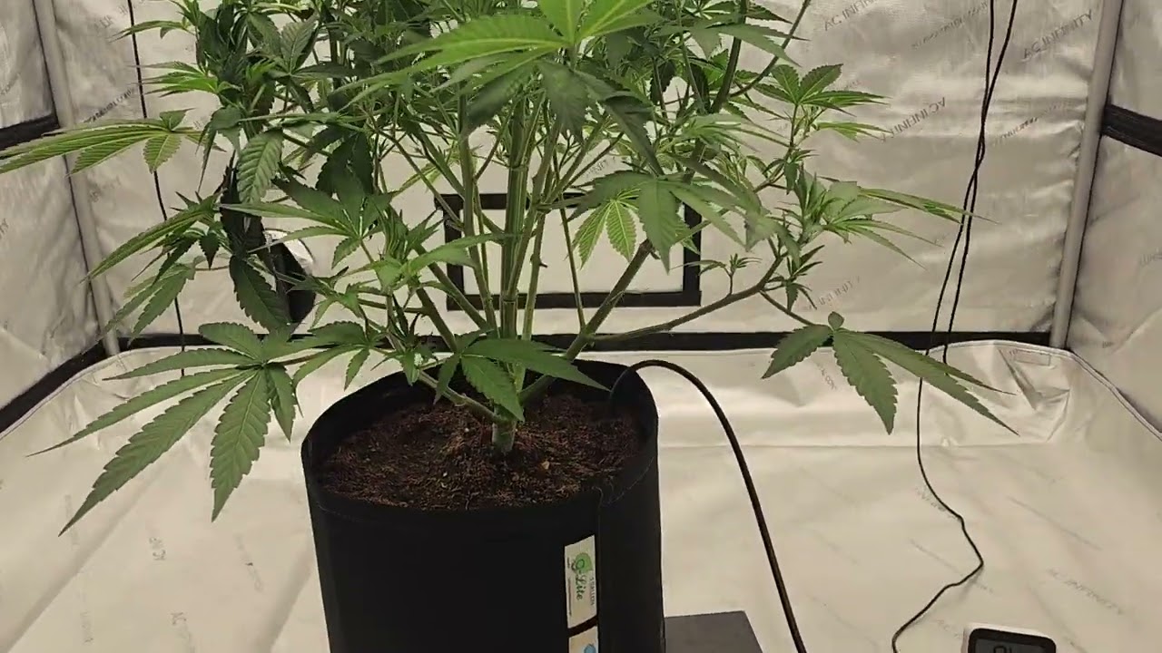 Submit your questions for our first Q&A video