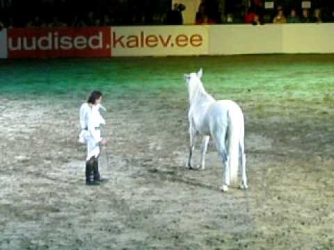 Jean Francois Pignon horseshow