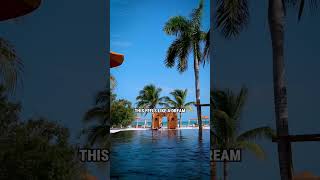 This Doesnt Feel Like Real Life.