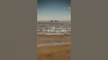 اجمل تلاوة القران الكريم قارئ رعد الكردي حالات واتس اب قران حالة نفسيه 😴💛