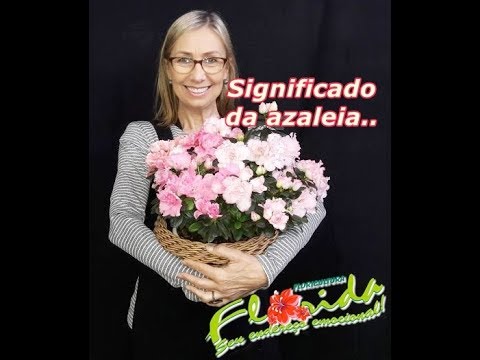 Vídeo: Qual é O Significado Do Nome Azalea