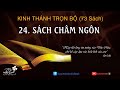 Sch chm ngn  kinh thnh trn b  vn xanh audio