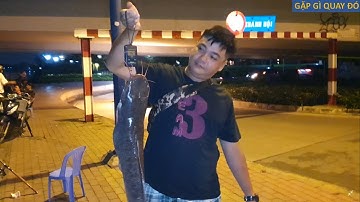 CÂU CÁ 6# - Câu đêm ở cầu Khánh Hội