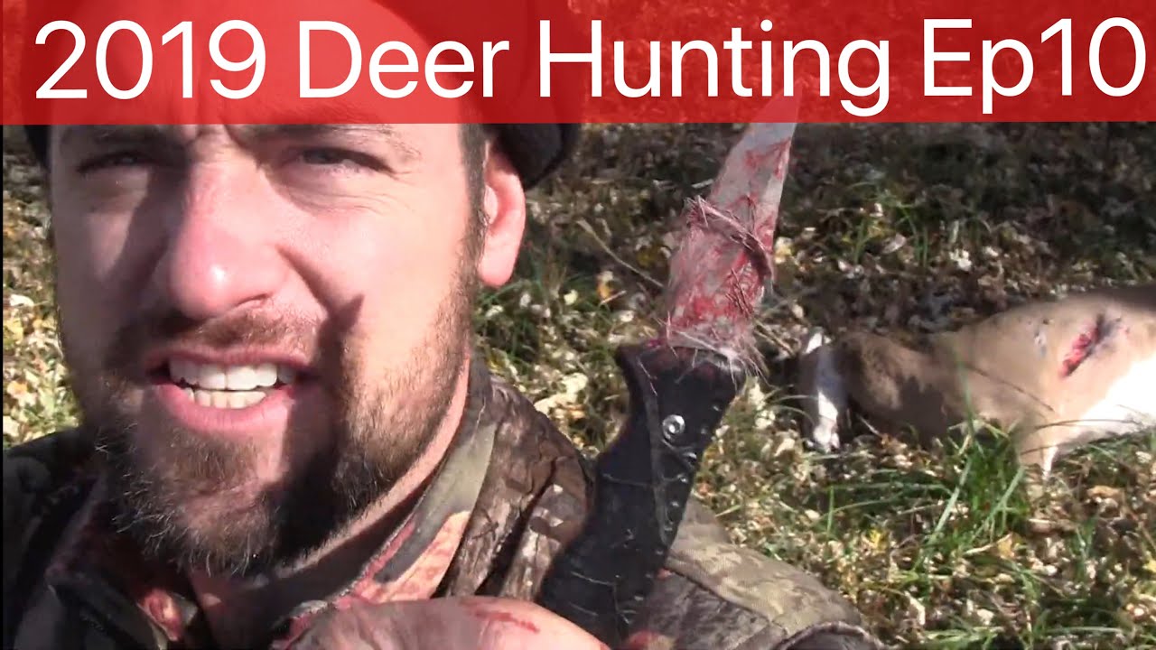 How To Kill A Deer With A Knife
