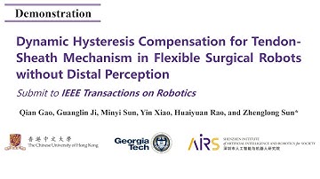 Dynamic Hysteresis Compensation for Tendon-Sheath Mechanism in Flexible Surgical Robots