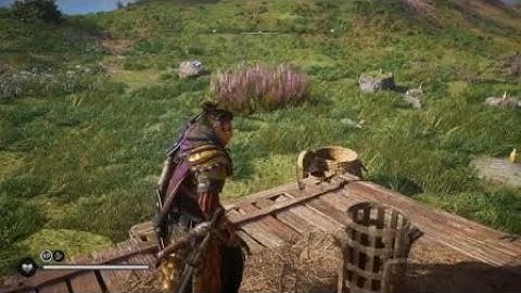 Archery easter egg in island of Skye: Assassins Creed Valhalla