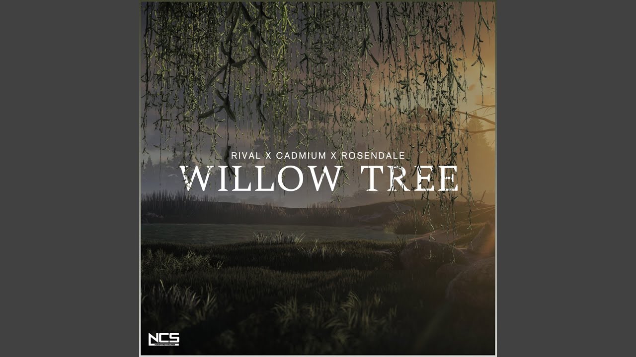 Willow Tree