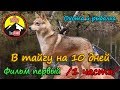 В тайгу на 10 дней. 1 фильм.  /1 часть/