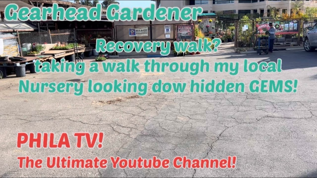 WALKING MY LOCAL NURSERY it’s been there 47 yrs LETS SEE WHAT WE CAN