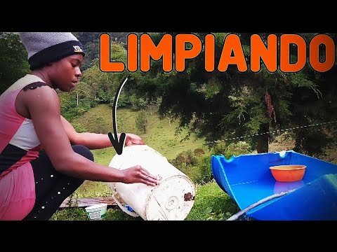 Video: Lavado En El Campo