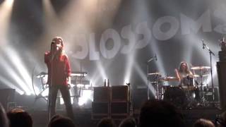 Across The Moor - Blossoms live @ Orangerie Botanique, Brussels 2017.