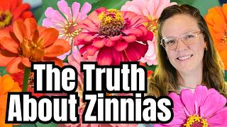 The TRUTH About Zinnias 🌸 | What No One Tells You!