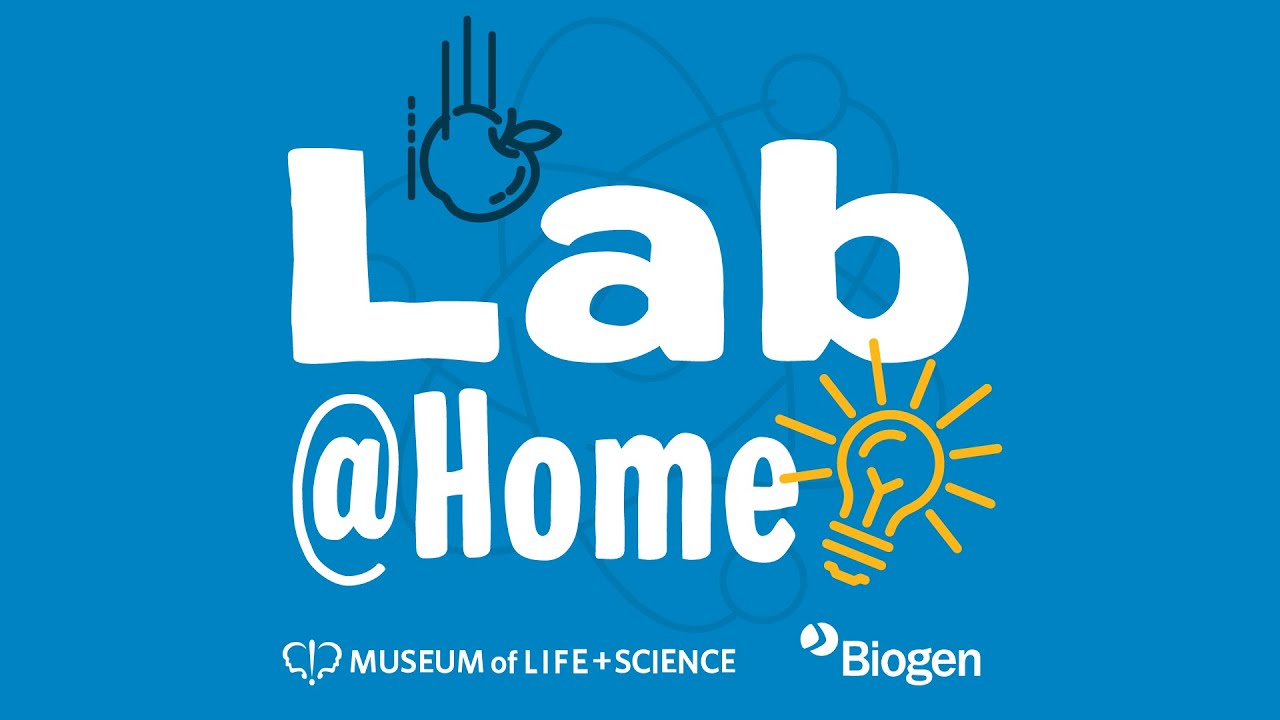 LabHome Fantastic Plastics YouTube