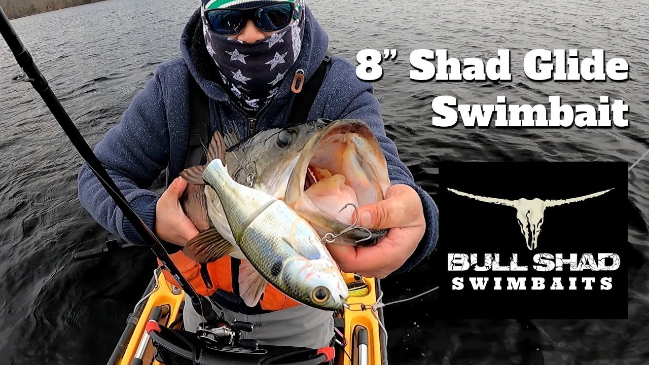 Bull Shad Swimbaits 8 Shad Glide Swimbait Winter Kayak Bass Fishing 