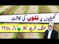Better cultivation method for sesame  crop reformer