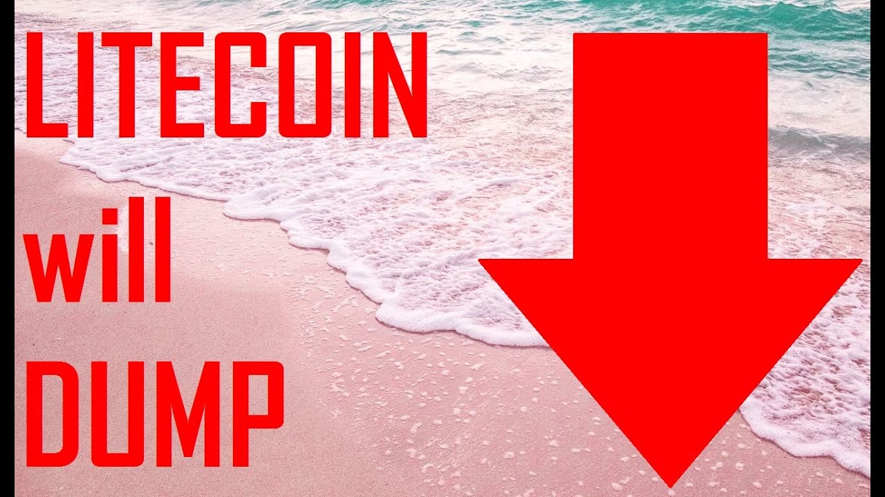 Was macht Litecoin?