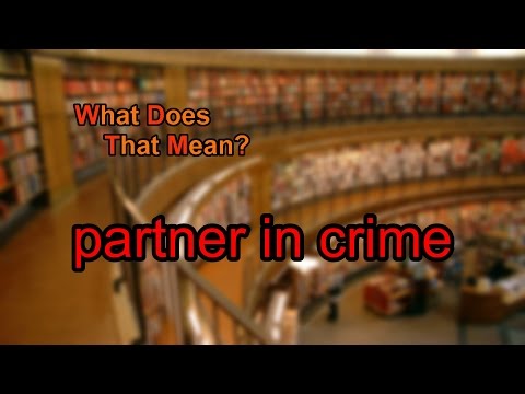 What does partner in crime mean?