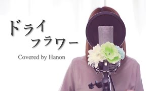 ドライフラワー／優里【Covered by Hanon】