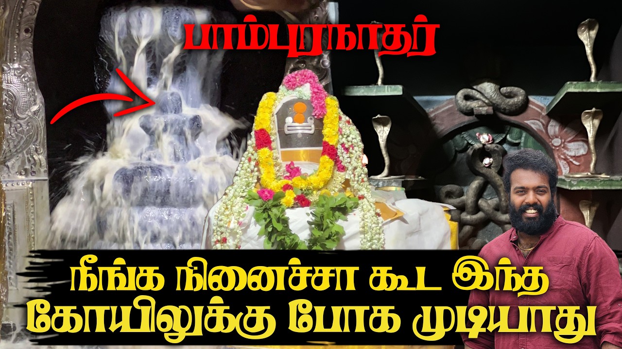 நீங்க நினைச்சா கூட இந்த கோயிலுக்கு போக முடியாது ,திருப்பாம்புரம்,பாம்புரநாதர் கோயில், Thirupampuram