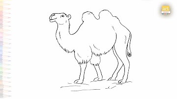 Bactrian camel drawing easy | Art tutorial | How to draw two humped camel step by step | #artjanag