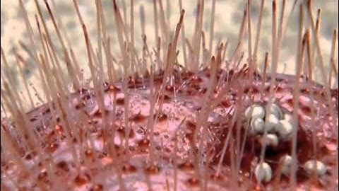 Why Ocean Exploration Matters: Our Planet Is Not a Static Place