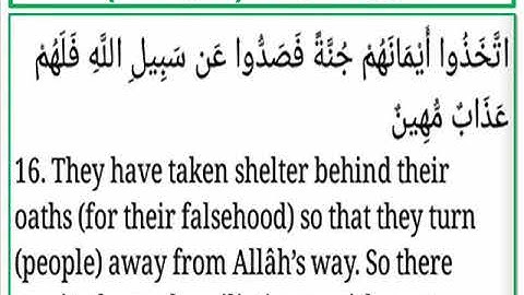 سورة المجادلة الايات من 16 الى 18